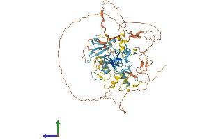 AlphaFold protein structure predicition of Human Recombinant PRDM6 Protein, UniprotID Q9NQX0