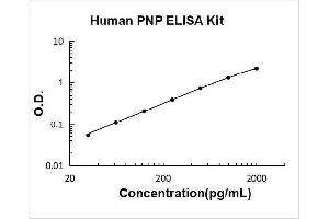 Typical Standard Curve