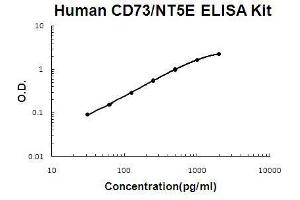 Human CD73 PicoKine ELISA Kit standard curve (CD73 ELISA 试剂盒)