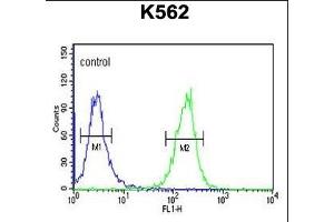 SE6L2 Antibody (C-term) (ABIN651130 and ABIN2840088) flow cytometric analysis of K562 cells (right histogram) compared to a negative control cell (left histogram). (SEZ6L2 抗体  (C-Term))