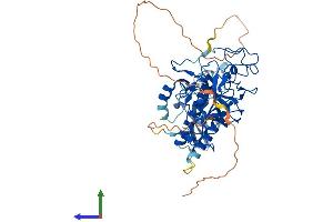 AlphaFold protein structure predicition of Mouse Recombinant Suv39h2 Protein, UniprotID Q9EQQ0
