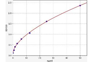Typical standard curve (CEBPE ELISA 试剂盒)