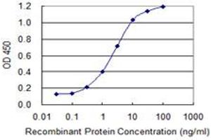 Detection limit for recombinant GST tagged TCF7 is 0. (TCF7 抗体  (AA 287-384))