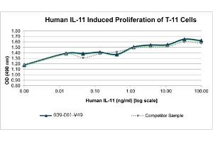 SDS-PAGE of Human Interleukin-11 Recombinant Protein Bioactivity of Human Interleukin-11 Recombinant Protein. (IL-11 蛋白)