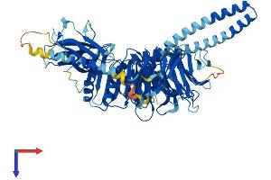 BBS2 Protein (AA 1-721) (His tag)