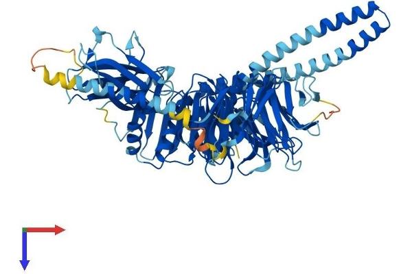 BBS2 Protein (AA 1-721) (His tag)