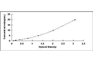 Typical standard curve (PTPRG ELISA 试剂盒)