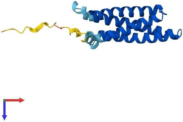 Mal, T-Cell Differentiation Protein-Like (Mall) (AA 1-154) protein (His tag)