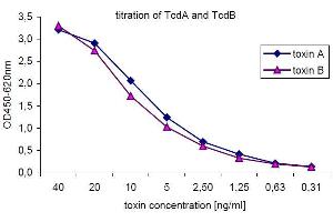 Typical titration curve generated with the recombinant standard toxins.