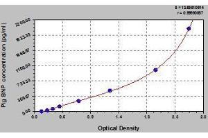 Typical standard curve (BNP ELISA 试剂盒)