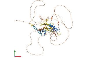 AlphaFold protein structure predicition of Human Recombinant RNF6 Protein, UniprotID Q9Y252