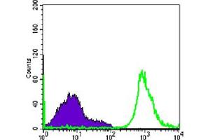 Flow cytometric analysis of Raji cells using CD19 mouse mAb (green) and negative control (purple). (CD19 抗体)