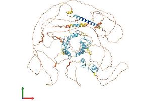 Protein Structure (PS) image for Sal-Like 2 (SALL2) (AA 1-1007) protein (His tag) (ABIN7555355)