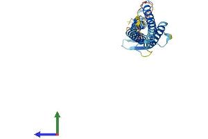 Protein Structure (PS) image for Claudin 7 (CLDN7) (AA 1-211) protein (His tag) (ABIN7546632)