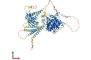 AlphaFold protein structure predicition of Mouse Recombinant Pkn3 Protein, UniprotID Q8K045