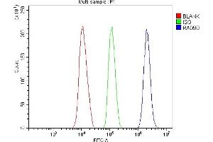 Flow Cytometry analysis of HEPA1-6 cells using anti-Rad9b antibody (ABIN7599360). (RAD9B 抗体  (AA 1-403))