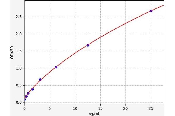 Histone H2B ELISA 试剂盒