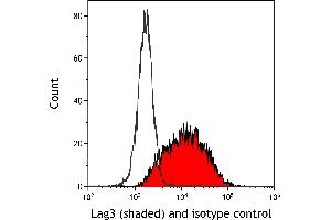 Flow Cytometry (FACS) image for anti-Lymphocyte-Activation Gene 3 (LAG3) (AA 500-525) antibody (ABIN7454036)