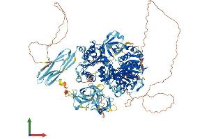 AlphaFold protein structure predicition of Mouse Recombinant Mov10l1 Protein, UniprotID Q99MV5