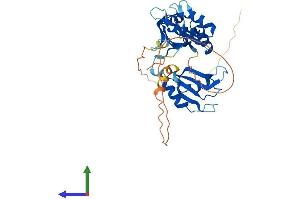 AlphaFold protein structure predicition of Mouse Recombinant Elavl2 Protein, UniprotID Q60899