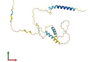 Protein Structure (PS) image for BCL2/adenovirus E1B 19kDa Interacting Protein 3-Like (BNIP3L) (AA 1-218) protein (His tag) (ABIN7556428)