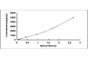 Typical standard curve (CD21 ELISA 试剂盒)