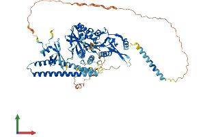 Protein Structure (PS) image for Kinesin Heavy Chain Member 2A (KIF2A) (AA 1-705) protein (His tag) (ABIN7563065)