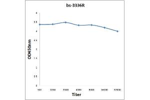 Antigen: 0. (EIF2AK2 抗体  (pThr451))