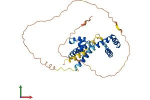 Protein Structure (PS) image for POU Class 1 Homeobox 1 (POU1F1) (AA 1-291) protein (His tag) (ABIN7556848)