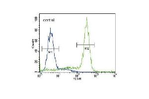 ST Antibody (C-term) (ABIN392001 and ABIN2841786) flow cytometric analysis of HepG2 cells (right histogram) coared to a negative control cell (left histogram). (MPST 抗体  (C-Term))