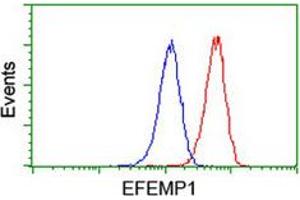 Flow cytometric analysis of Jurkat cells with EFEMP1 monoclonal antibody, clone 1D9  (Red). (FBLN3 抗体)