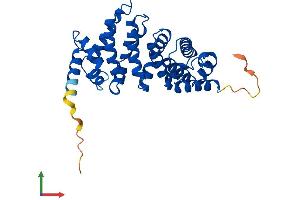 AlphaFold protein structure predicition of Mouse Recombinant Cnot9 Protein, UniprotID Q9JKY0