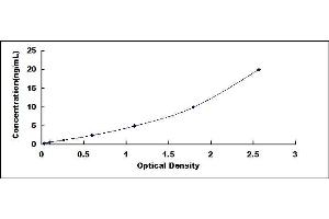 Typical standard curve (MYH3 ELISA 试剂盒)