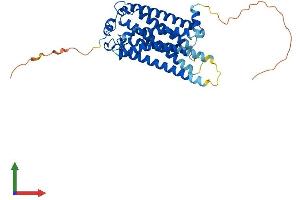 AlphaFold protein structure predicition of Mouse Recombinant Lpar1 Protein, UniprotID P61793