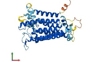 Protein Structure (PS) image for Steroid 5 alpha-Reductase 3 (SRD5A3) (AA 1-330) protein (His tag) (ABIN7556286)