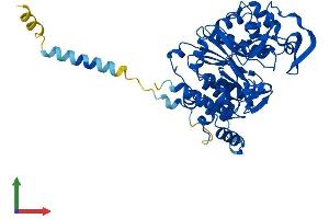 Protein Structure (PS) image for Glucosaminyl (N-Acetyl) Transferase 1, Core 2 (GCNT1) (AA 1-428) protein (His tag) (ABIN7547905)