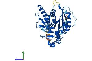 Protein Structure (PS) image for Glycosyltransferase 6 Domain Containing 1 (GLT6D1) (AA 1-311) protein (His tag) (ABIN7557006)