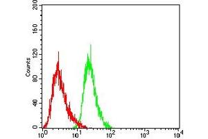 Flow cytometric analysis of Jurkat cells using CD15 mouse mAb (green) and negative control (red). (CD15 抗体  (AA 1-147))
