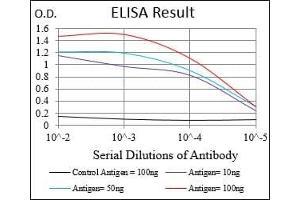 Black line: Control Antigen (100 ng), Purple line: Antigen(10 ng), Blue line: Antigen (50 ng), Red line: Antigen (100 ng), (DDIT3 抗体  (AA 87-192))