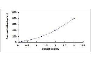 ELISA image for Cathepsin K (CTSK) ELISA Kit (ABIN415463)