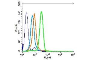 Human HL-60 cells probed with Integrin beta 3 Polyclonal Antibody, Unconjugated  (green) at 1:100 for 30 minutes followed by a FITC conjugated secondary antibody compared to unstained cells (blue), secondary only (light blue), and isotype control (orange). (Integrin beta 3 抗体  (AA 27-120))