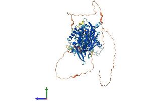 AlphaFold protein structure predicition of Human Recombinant ADARB2 Protein, UniprotID Q9NS39