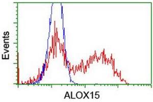 Flow Cytometry (FACS) image for anti-Arachidonate 15-Lipoxygenase (ALOX15) antibody (ABIN1496358) (ALOX15 抗体)
