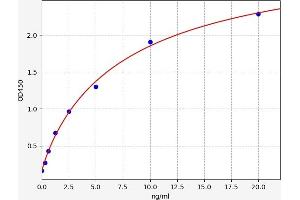 Phosphoglycerate Kinase 1 (PGK1) ELISA Kit