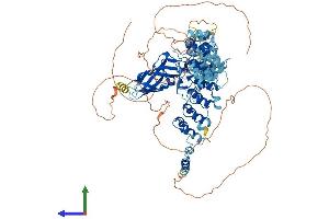 AlphaFold protein structure predicition of Mouse Recombinant Nfkb1 Protein, UniprotID P25799