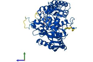 AlphaFold protein structure predicition of Mouse Recombinant Qrsl1 Protein, UniprotID Q9CZN8