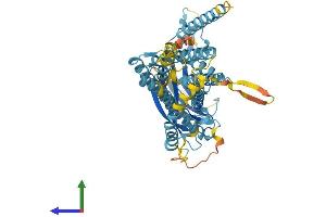 Protein Structure (PS) image for CLPTM1-Like (CLPTM1L) (AA 1-539) protein (His tag) (ABIN7558993)