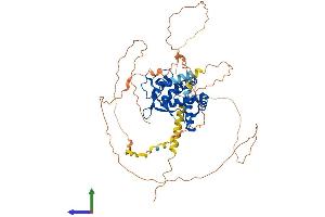 Protein Structure (PS) image for Nuclear Factor I/A (NFIA) (AA 1-532) protein (His tag) (ABIN7556874)