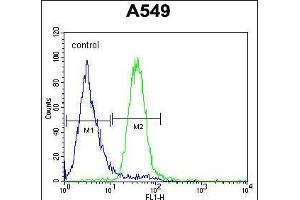 C5AR1 Antibody (Center) (ABIN654658 and ABIN2844355) flow cytometric analysis of A549 cells (right histogram) compared to a negative control cell (left histogram). (C5AR1 抗体  (AA 175-201))