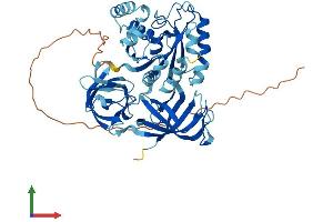 AlphaFold protein structure predicition of Human Recombinant GSPT1 Protein, UniprotID P15170 (GSPT1 Protein (AA 1-499) (His tag))
